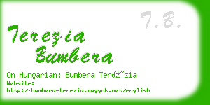 terezia bumbera business card